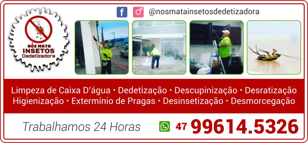 DEDETIZADORA NÓS MATA INSETOS EM PENHA SC