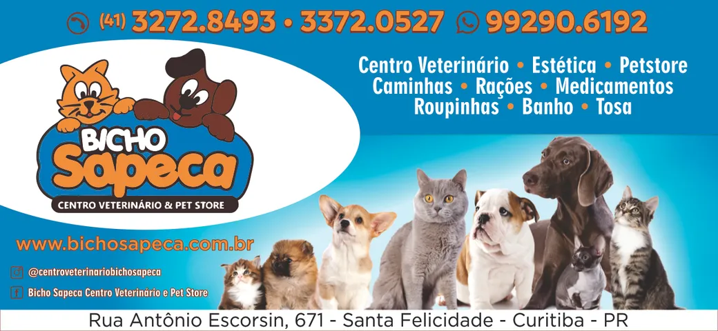 PET SHOP BICHO SAPECA EM CURITIBA PR